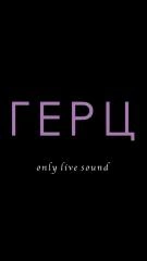 Концертный зал ГЕРЦ